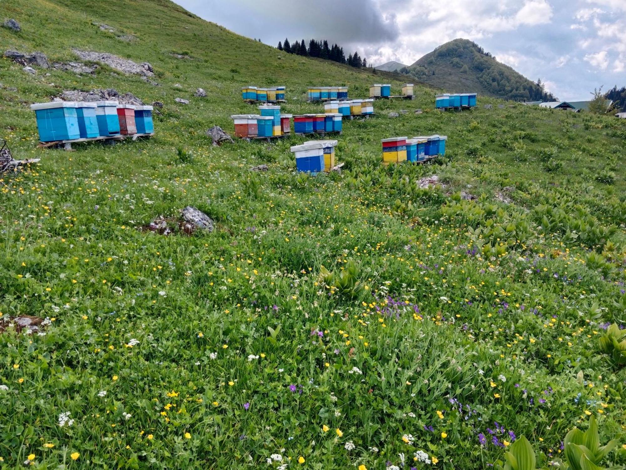 Вилла Katun Siska Medna Dolina Беране Экстерьер фото