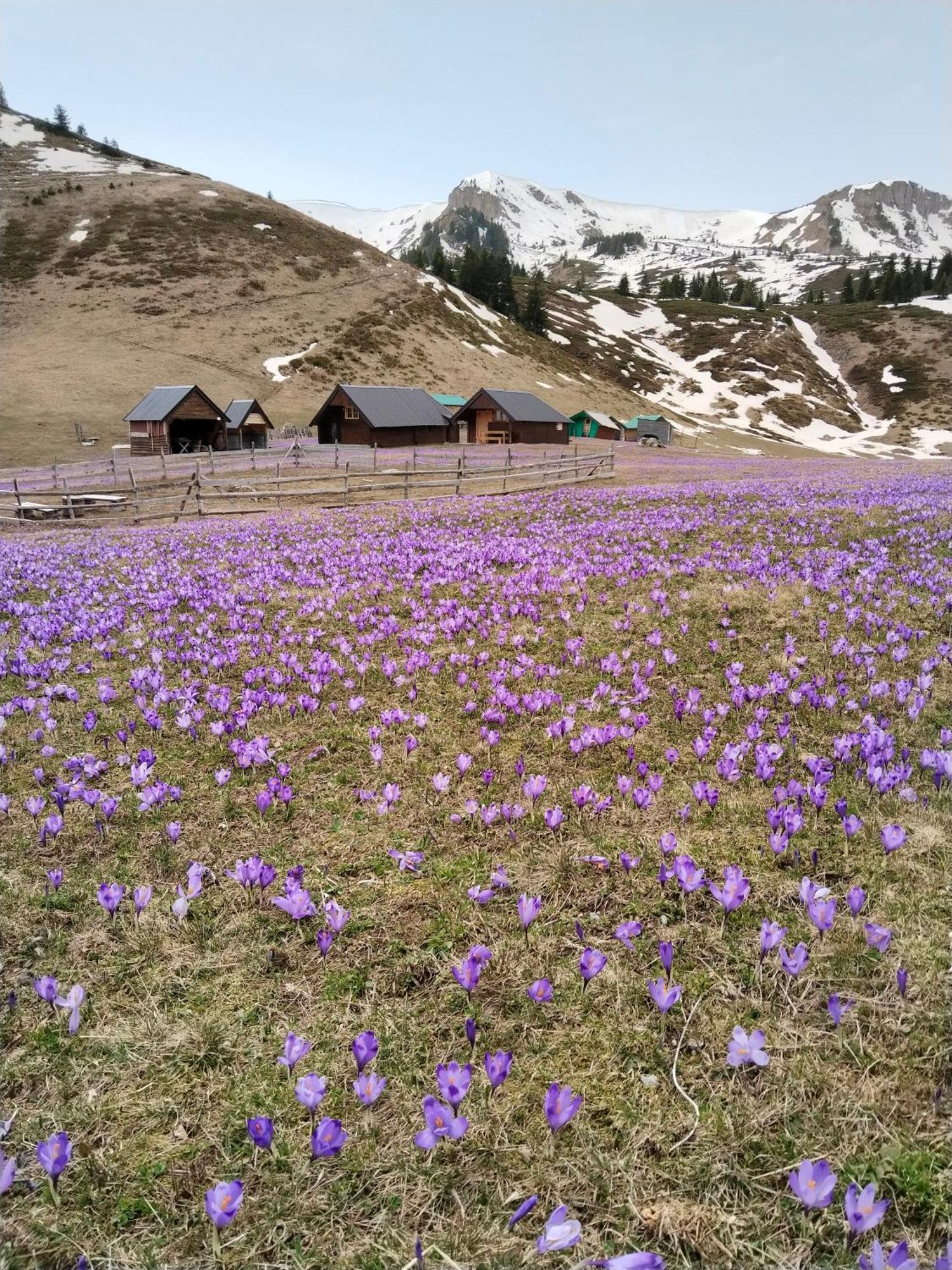 Вилла Katun Siska Medna Dolina Беране Экстерьер фото